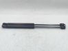 Tailgate/trunk strut/damper 