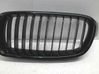 Front grill 51137260497