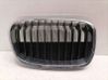 Front grill 51137324390