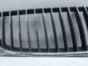 Front grill 51137120010