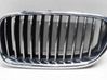 Front grill 51137203649