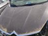Engine bonnet/hood 7901P5