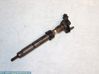 Fuel injector 0445116019