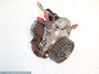 Fuel injection high pressure pump 0445020008