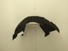 Rear arch fender liner splash guards 1852051