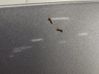 Engine bonnet/hood GJYA5231XC