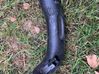 Intercooler hose/pipe 758368480
