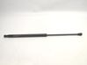Tailgate/trunk strut/damper 