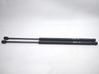 Tailgate/trunk strut/damper 
