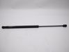 Tailgate/trunk strut/damper 