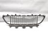Front grill 