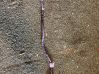 Sonda lambda 7791592