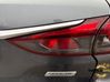 Tailgate rear/tail lights 