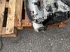 Automatic gearbox 2231T5