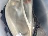 Headlight/headlamp 260100203R
