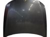 Motorhaube 41617140729