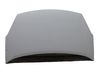 Engine bonnet/hood 00007901P7