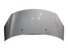 Motorhaube 00007901R1