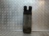 Radiador intercooler 00000384N1