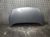 Engine bonnet/hood 1542417