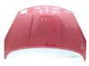 Engine bonnet/hood F5100BH0MA