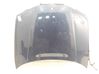 Engine bonnet/hood 41617016417