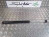 Tailgate/trunk strut/damper 8731E0
