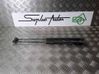 Tailgate/trunk strut/damper 2232153