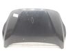 Engine bonnet/hood 1815874