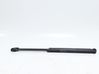 Tailgate/trunk strut/damper 00008731G3