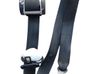 Rear seatbelt 7M3857812C