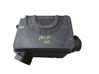 Air filter box 781294904