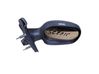 Front door electric wing mirror E1010461