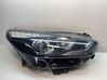 Scheinwerfer FM2B13W029GA
