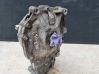 Front differential 7552533