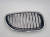 Front grill 10627110