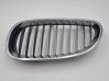 Front grill 10627110
