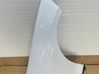 Fender BLOTNIKPPF20