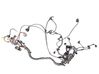 Engine installation wiring loom 7786124