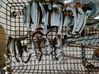 Front coil spring 8200140543