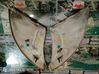 Rejilla inferior del parachoques delantero 7810R3