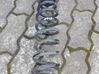 Muelle espiral trasero 55350G5500