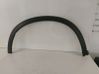 Fender trim (molding) 7725154P0R