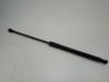 Tailgate/trunk strut/damper 9813177780