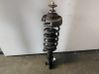 Front shock absorber with coil spring 8200394948