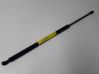 Tailgate/trunk strut/damper 