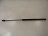 Tailgate/trunk strut/damper 8185068L00