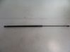 Tailgate/trunk strut/damper 16237