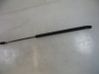 Tailgate/trunk strut/damper 3M71A406A10AC