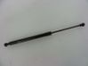 Tailgate/trunk strut/damper 844308661R